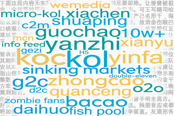 special chinese online marketing terminology